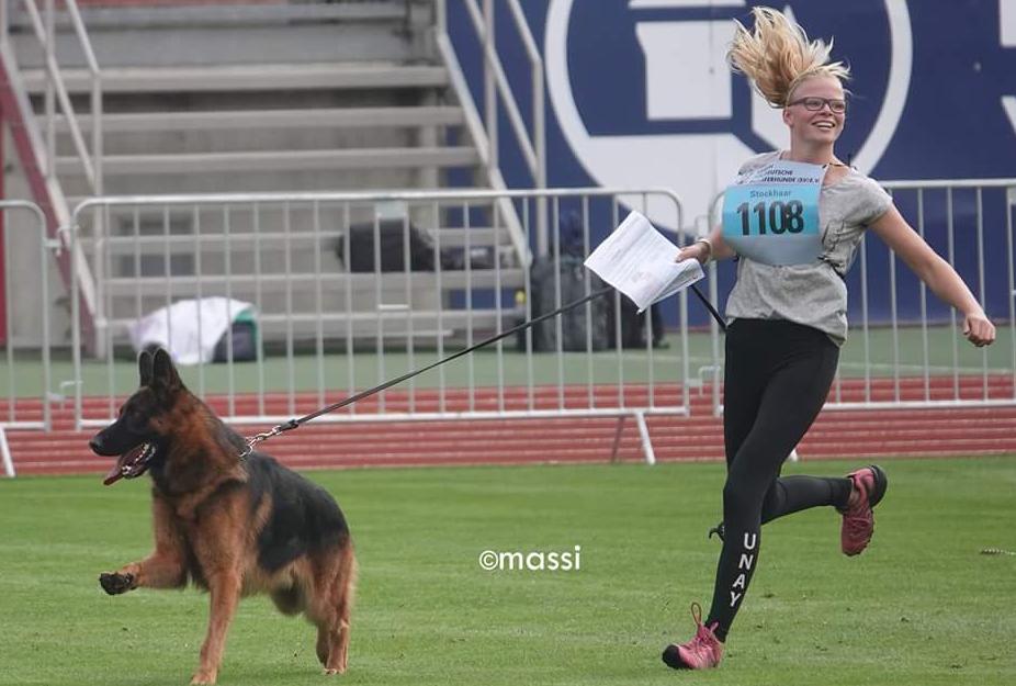 
                                                    Kein SV-Bild -
                                                    BSZS 2018 TSB
                                                