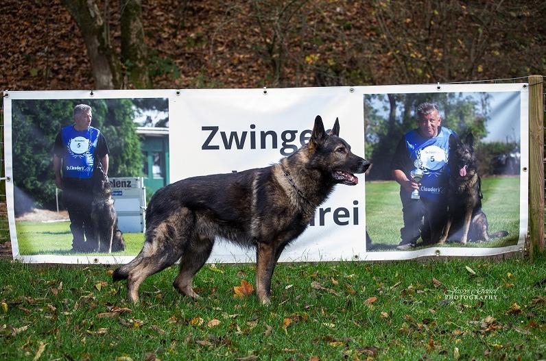 
                                                    Kein SV-Bild -
                                                    Bundessiegerprüfung 2022
                                                