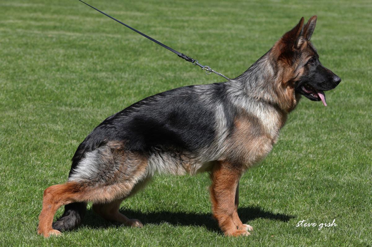 
                                                    Kein SV-Bild -
                                                    Paulina 6 Monate
                                                