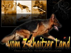 Kennel vom Zschaitzer Land Bild