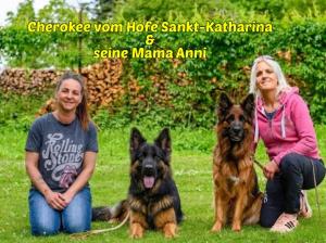Kennel vom Hofe Sankt-Katharina Bild