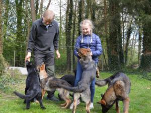 Kennel vom Suhrrehm Bild