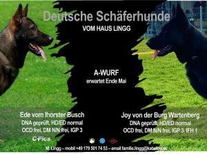 Kennel vom Haus Lingg Picture 1