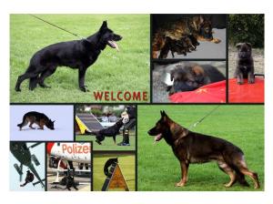 Zuchtstätte von der Lobdeburg Bild