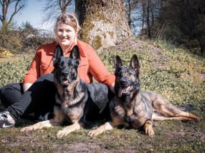 Kennel von der bösen Eule Bild