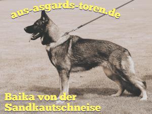 Zuchtstätte aus Asgards Toren Bild