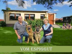 Kennel vom Espiggut Bild