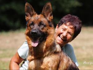 Kennel vom kleinen Zauberberg Bild