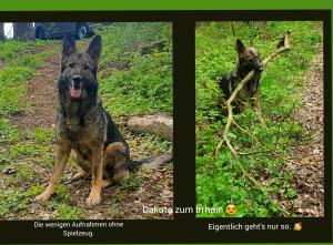 Zuchtstätte zum Irrhain Bild