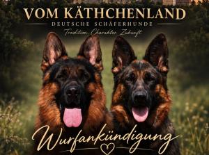 Zuchtstätte vom Käthchenland Bild