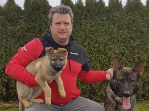 Kennel von der Donauvorstadt Bild