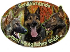 Kennel zum Königlichen Wald Bild