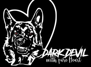 Zuchtstätte Dark Devil with Pure Heart  Bild