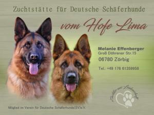 Kennel vom Hofe Lima Bild