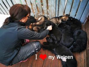 Kennel von Black Crusade Bild