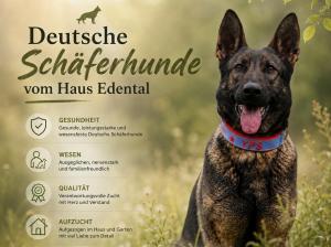 Zuchtstätte vom Haus Edental Bild