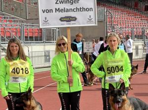 Zuchtstätte von Melanchthon Bild