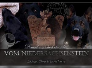 Kennel vom Niedersachsenstein Bild