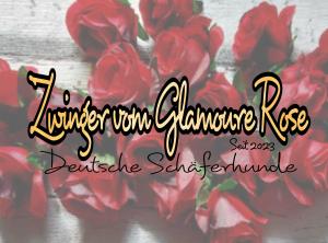 Zuchtstätte vom Glamoure-Rose Bild