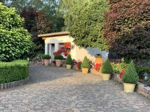 Kennel von der Römertreppe Bild