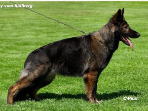 Zuchtstätte von der Landsburger Senke Bild