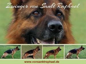 Kennel von Sankt Raphael Bild